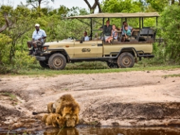 På safari i Krugerparken