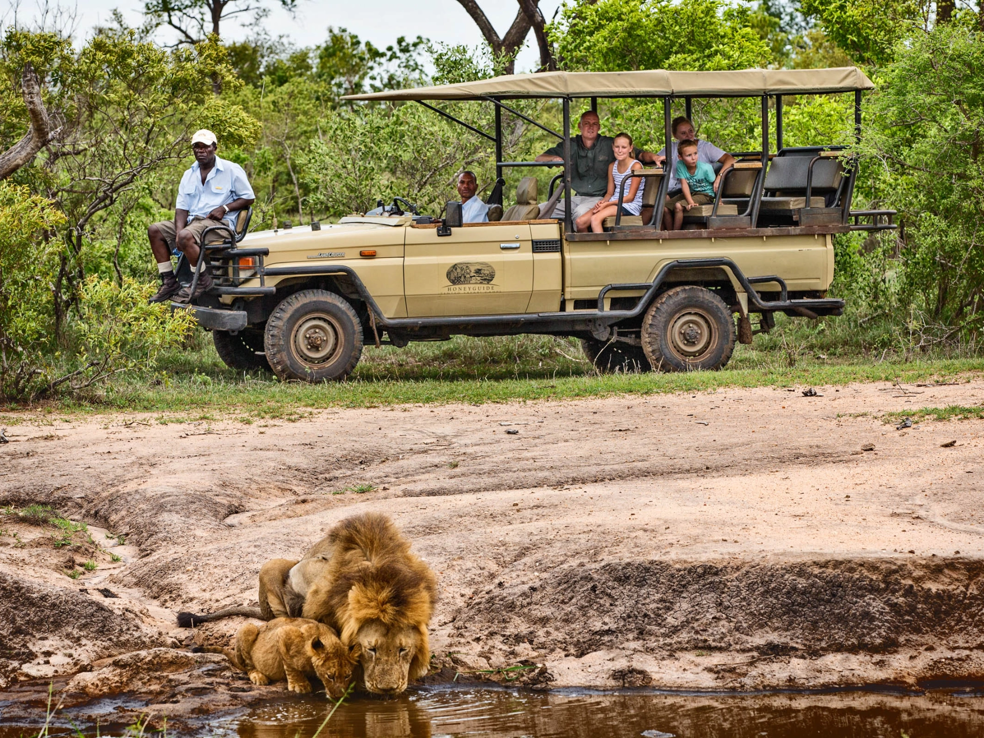 På safari i Krugerparken